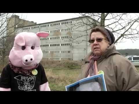 Protestdemo vor Schweinehochhaus der JSR Hybrid Deutschland - Maasdorf bei Halle (Saale) - BRISANT