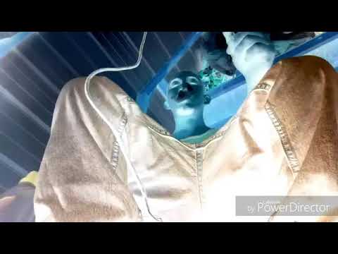 Vato panochon) el rapsta LMR