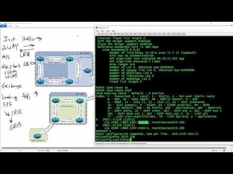 073 - Layer 3 Technologies - OSPF - OSPFv3 Single Area