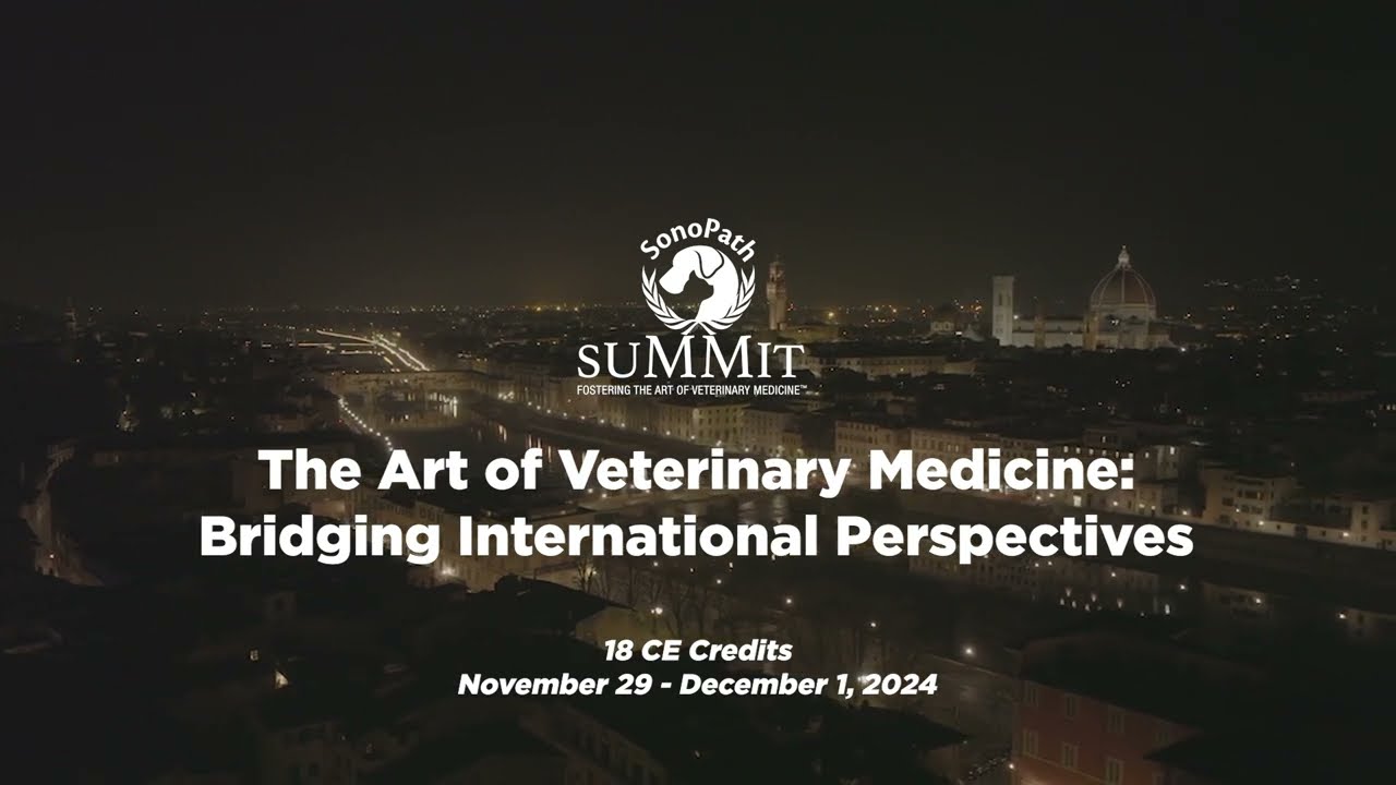 SonoPath Summit 2024: Bridging International Perspectives