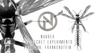 preview picture of video 'The secret experiments from Mr Frankenstein. Top secret!!'