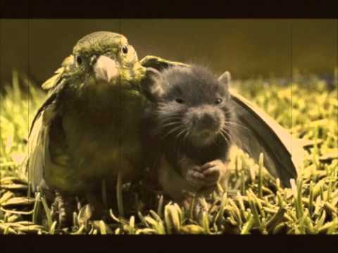 Bum Khun Cha Youth - Es wird sich nichts ändern