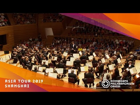 Shanghai | Asia Tour 2019
