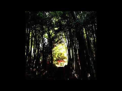 Donato Dozzy & Cio D'or - J