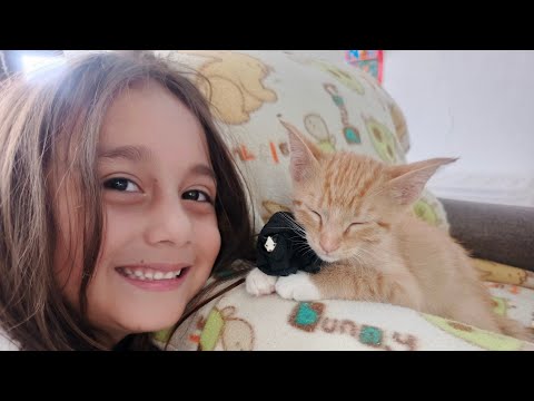 Saritah Bebe - Gatito