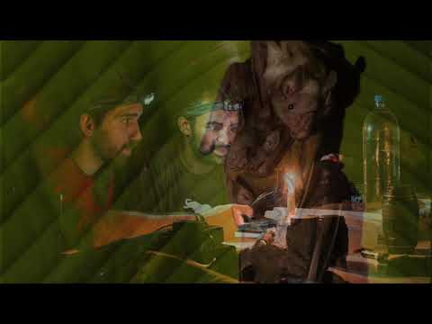 Field Guide to Amazonian Bats