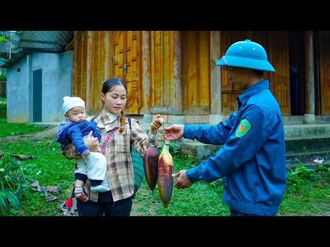 Harvesting Wild Banana Blossoms for the Market - A Gift for a Kind Police Officer