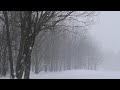 Snowfall And Frozen Landscapes Cinematic Winter Film