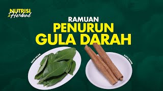 Download lagu Gula Darah Tinggi? Racik Ramuan Herbal Menurunkan Gula Darah | Nutrisi & Herbal #21 mp3