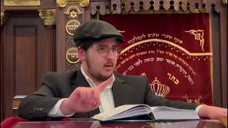 רבי מאיר אליהו - הלכות פורים בן איש חי