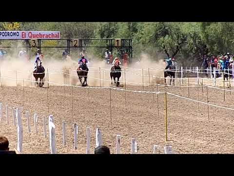 Hip. El Quebrachal ( Chamical)