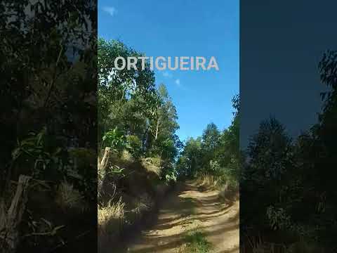 ORTIGUEIRA PARANÁ.