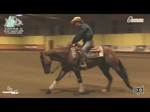 MIRKO PIAZZI - FROZEN MAGNUM DREAM