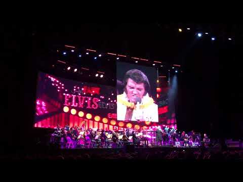 Elvis O2 30/11/17 - Steamroller Blues