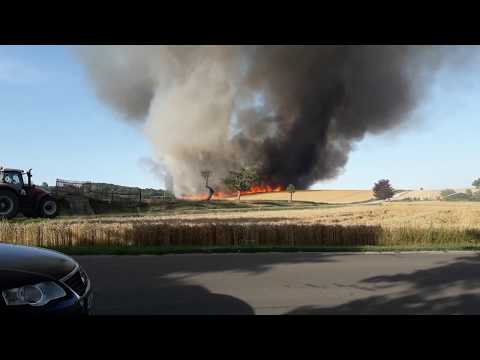 Feldbrand Kromsdorf 26.07.2019 Feuerwehr Video 2