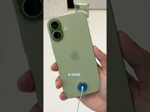 Apple iPhone 17: ALL Colors HANDS-ON!