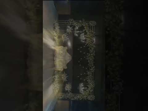 Wedding Decorator portfolio by Mahadev Decoration in Ahmedabad - Photo 1