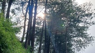 Download lagu TAK DI BERITULANG LAGI||SIAPA PENCIPTANYA|| ERWIN RIYANTO #Kuburanband #takdiberitulanglagi mp3 Download lagu TAK DI BERITULANG LAGI||SIAPA PENCIPTANYA|| ERWIN RIYANTO #Kuburanband #takdiberitulanglagi mp3