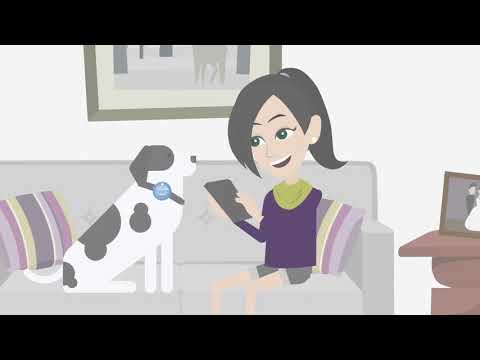Doggone - Reuniting lost dogs