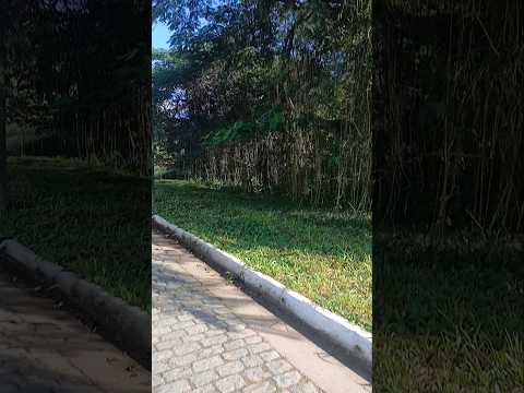 Caminhada num lugar diferente,Resende,Rio de Janeiro. #vidasimples #natureza #caminhada