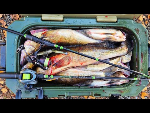 LOKAKUUN KUHANKALASTUSTA | VINKKEJÄ KYLMÄN VEDEN KUHAN JIGAUKSEEN!