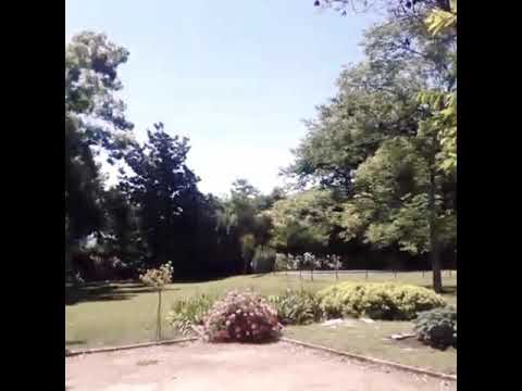 La Ciega - Dina Paucar