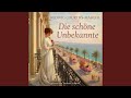 Kapitel 31 - Die schöne Unbekannte