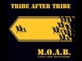 Tribe After Tribe - Understanding The Water