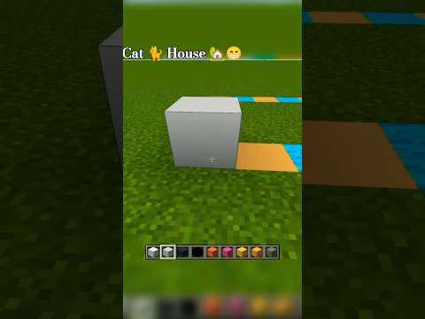 INSANE! Building Cat House in Minecraft 🤯