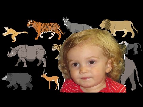 Oskar's Video Response to The Kid's Picture Show - Indian Mammals