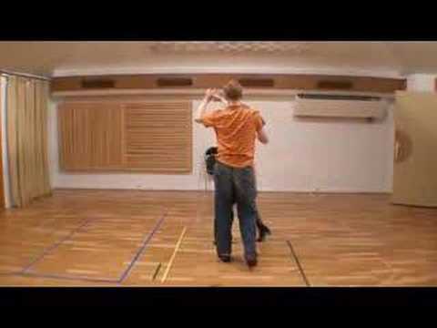 Les Gais Musette - Cours de salsa T4 2007