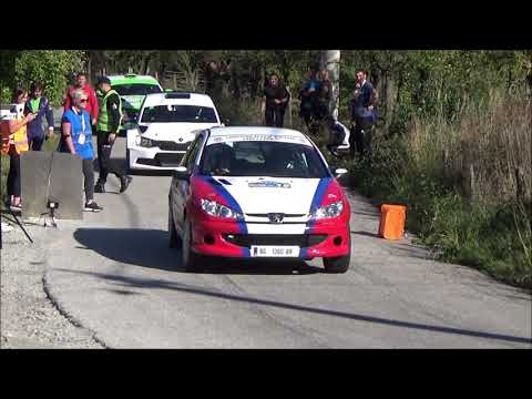 Nikola Jovic / Sanja Novakovic - 54. Serbia rally 2021 - Peugeot 2.0 RC