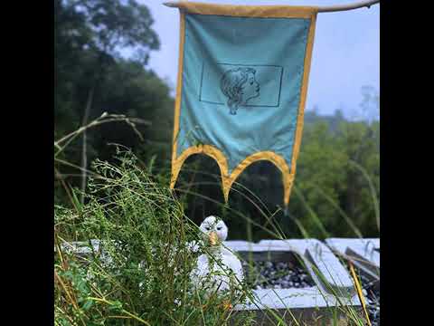 Video thumbnail for ‌crows