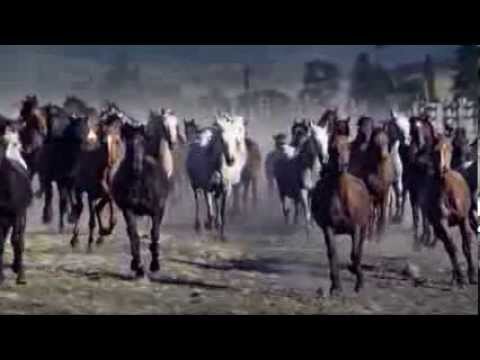 Ansambel Kolovrat (SPINWHEEL) - Heroes For The Night