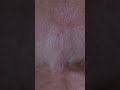 Scary Movie Funny Scene