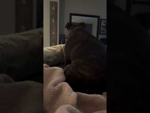 Morning with a side of temper and a splash of sass…..