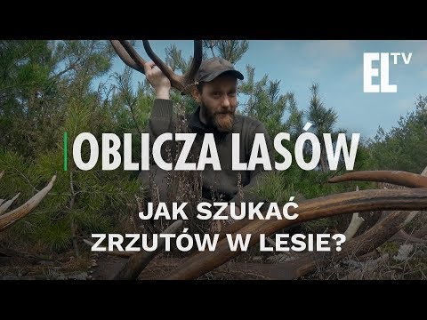 Ukraińskie przygotowania do potencji Siła tequili