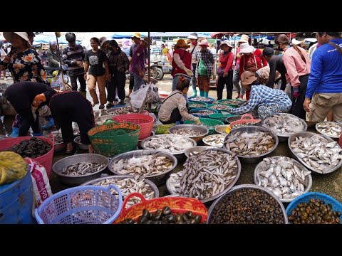 Cambodia Kilo 9 Fish Market Scene - Plenty Alive Fish, Rural Fish, Dry Fish Seafood & More