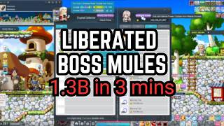 How I Run My Boss Mules -- 1.3b in 3 mins
