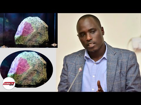 SAKATA LA RUBY DUBAI: WAZIRI BITEKO AJIBU - "YAPO MENGINE 25, WATANZANIA WANA HAKI YA KUKASIRIKA"