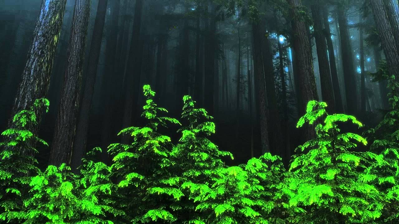 VFX Creating 3D Forest with 2D Images