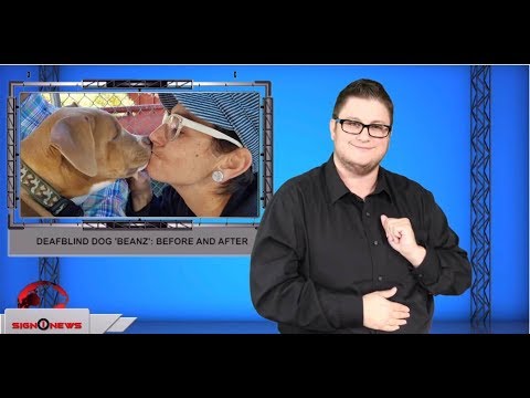 Sign1News 9.28.19 - News for the Deaf community powered by CNN in American Sign Language (ASL).