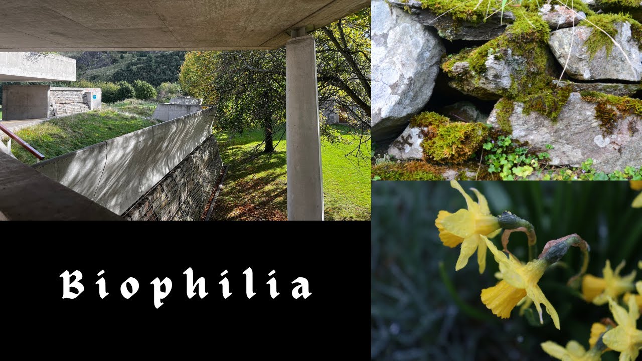 biophilia hypothesis | a short poetic documentary