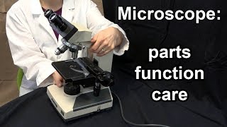 Microscope Parts, Function, and Care