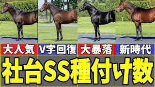 【種牡馬戦国時代】2026年社台SS種付け数発表！シスキン大人気！レイデオロV字回！コントレイル大減少…時代はシンボリクリスエス系へ？サンデー系衰退傾向も【競馬予想/血統分析】