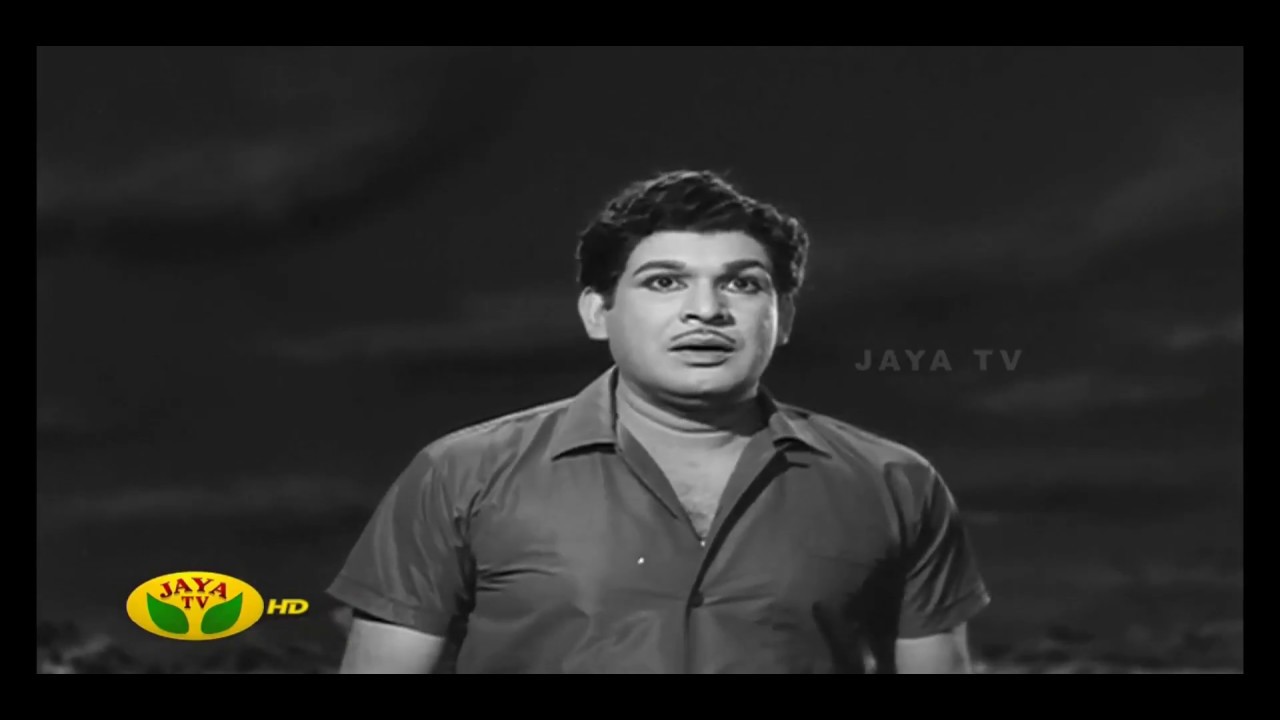 Enna Paravai Female Song Lyrics | Karthigai Deepam Tamil | P. Susheela