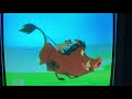 Las Aventuras De Timón Y Pumba Cocineros Parte 1