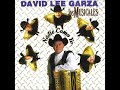 David Lee Garza...Como un Sueno...