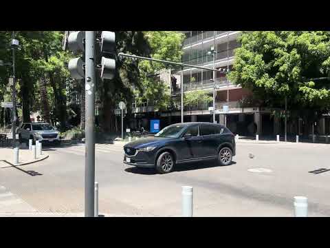 Así se veía hoy la linda calle de Marsaryk en la Colonia de Polanco (Grabado por Mí)
