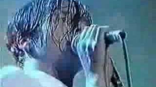 Suede - The Wild Ones (live @ Phoenix Festival)